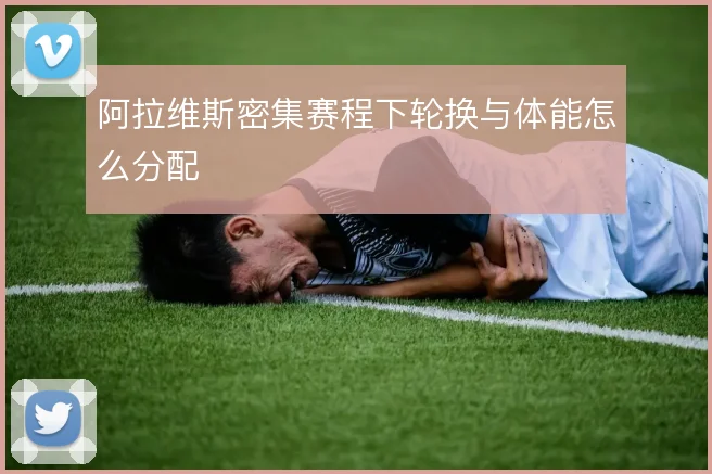 阿拉维斯密集赛程下轮换与体能怎么分配